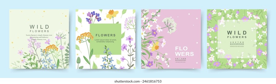 Fondo floral con un patrón de flores silvestres y hierbas. Plantillas de cartón de primavera y verano con Elementos naturales. Ilustración vectorial para tarjeta, Anuncio, invitación, publicación en redes sociales, póster, diseño