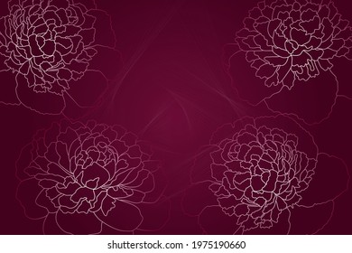 Floral background. Peony buds sketch.