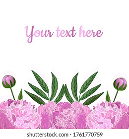 Floral background with pink peonies in vector, to create greeting cards, invitations, letters and more. Peonies will decorate any design