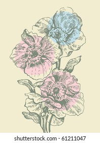 Floral background with poppies