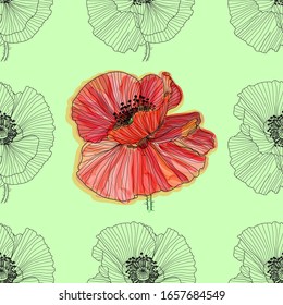 Floral background with poppies. seamless pattern. Flourish seamless textured wallpaper for greeting card.