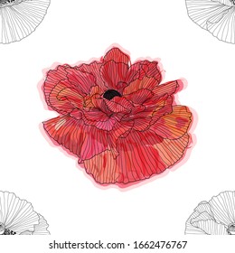 Fondo floral con amapolas. patrón impecable. Papel de pared con textura impecable para tarjetas de felicitación.