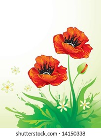 Floral background with poppy