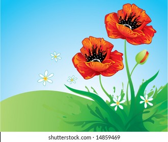 Floral background with poppy