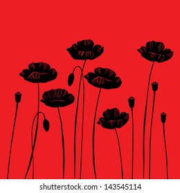 floral background, poppy with a space for your text