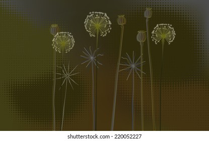 Floral background, poppys and dandelions - Desktop wallpaper