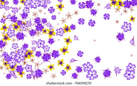 Floral Background for Postcard, Wedding Invitation, Greeting Card, Book Cover. Horizontal Rectangular Background in Retro Style with Small Flowers
