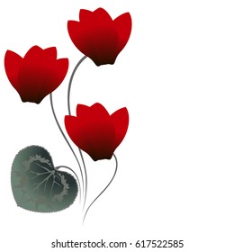 Floral background with red cyclamens.