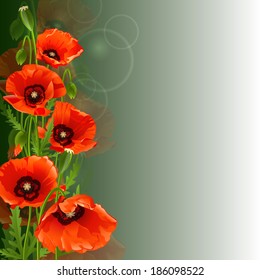 Fondo floral con amapolas rojas. Ilustración vectorial