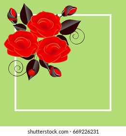 Floral background with red roses and ladybug.