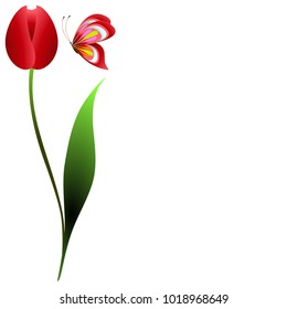 Floral background with a red tulip, green leaf and butterfly.