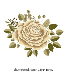 Floral background. Rose with leaves on a white background. Bouquet of flowers.
