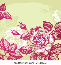 Floral background with roses