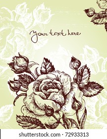 Floral background with roses	