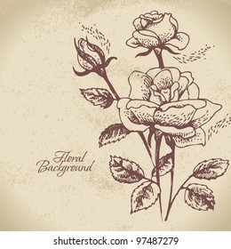 Floral background with roses