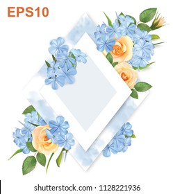 Floral background with roses, flocks and frame. Vector illustration 