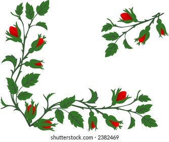 Floral background with roses - vector