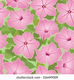 floral background. seamless pattern with pink flowers petunia.
