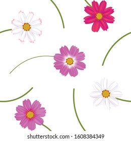 Floral background. Seamless pattern. Wild flowers. Cosmos flowers.