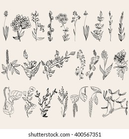 Floral background. Set realistic plants and branches