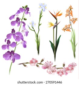 Floral background. Set of spring flowers for design purposes. Fully editable vector