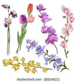 Floral background. Set of spring flowers for design purposes. Fully editable vector