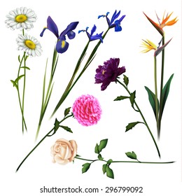 Floral background. Set of spring flowers for design purposes. Fully editable vector