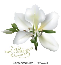 Floral background. Set of spring flowers for design purposes. Fully editable vector