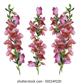 Floral background. Set of spring flowers for design purposes. Fully editable vector