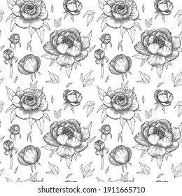 Floral background. A sketch of peony branches with leaves. Silhouette.