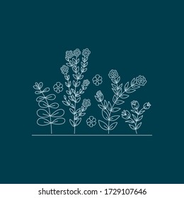 Floral background. Small branches of plants. Hand-drawn vector illustration.