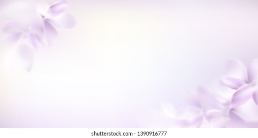 Floral background with soft pink lilac flower and petals vector illustration template