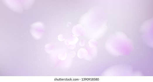 Floral background with soft pink lilac flower and petals vector illustration template