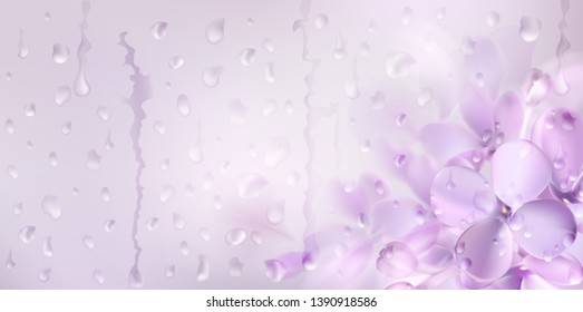 Floral background with soft pink lilac flower and rain drops on the window vector illustration template