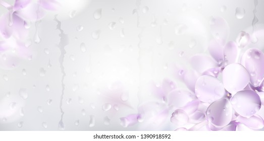 Floral background with soft pink lilac flower and rain drops on the window vector illustration template