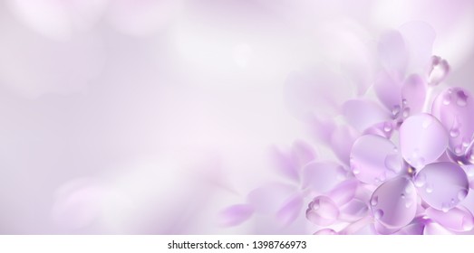 Floral background with soft pink lilac flower and petals vector illustration template