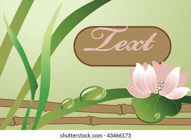 floral background with space for text