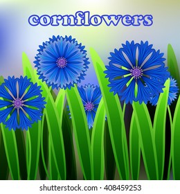 Floral background with space for text, card or invitation template with blue cornflower. Vector illustration
