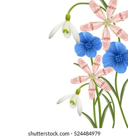 Floral background. Spring flowers. Snowdrops and narcissus