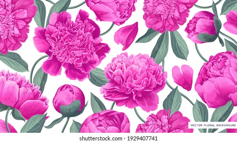 Floral background with spring pink peony leaves and petals on white background for desktop wallpaper for computer, tablet, mobile phone, social media covers. Realistic highly detailed vector plants