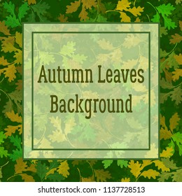 Floral Background, Summer and Autumn Oak Leaves and Square Frame for Your Text. Vector