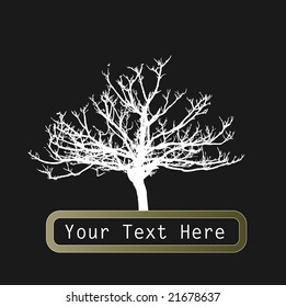 floral background for text