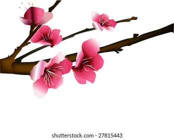 floral background for text