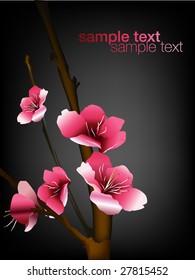 floral background for text