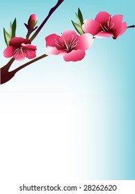 floral background for text