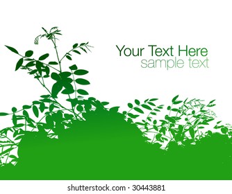 floral background for text