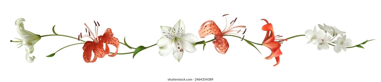 Floral background. Tiger lilies. Orchids. Tropical flowers. Border. White lily.