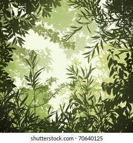 A Floral Background with Trees and Leaves