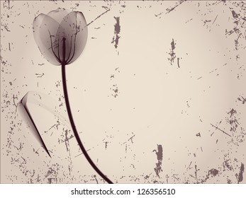 Floral background with a tulip