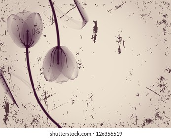 Floral background with tulips